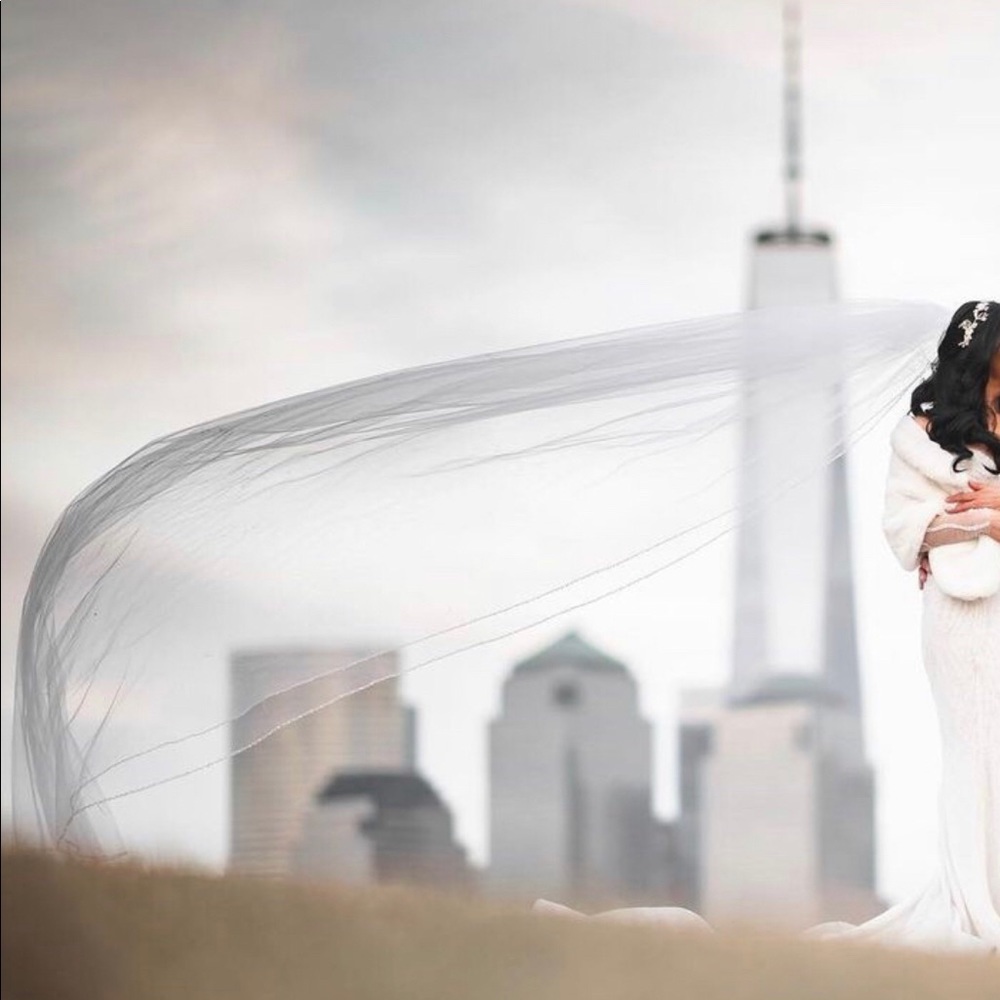 Veil - Picture 6 of 7